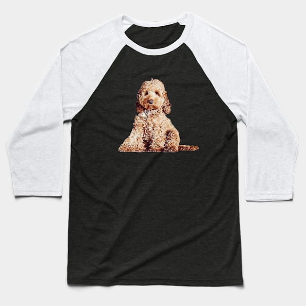 Cavoodle Labradoodle Cockapoo Mini Poodle x Cute Puppy Dog Baseball T-Shirt by ElegantCat